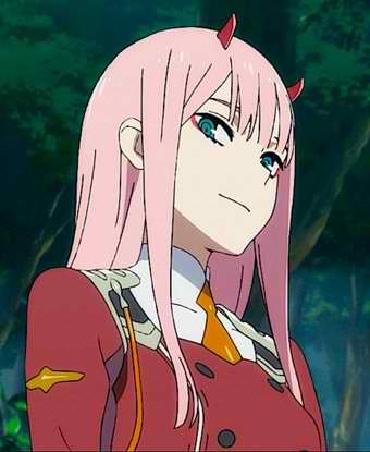 This is an image of zerotwo